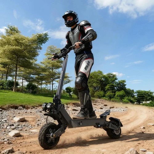 Vipcoo vs9 dual motor tire - 11",