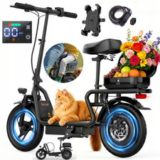 Foldable Electric Scooter 48V